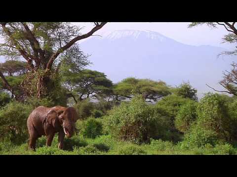 Vanishing Heritage: Protecting the Elephants of Amboseli