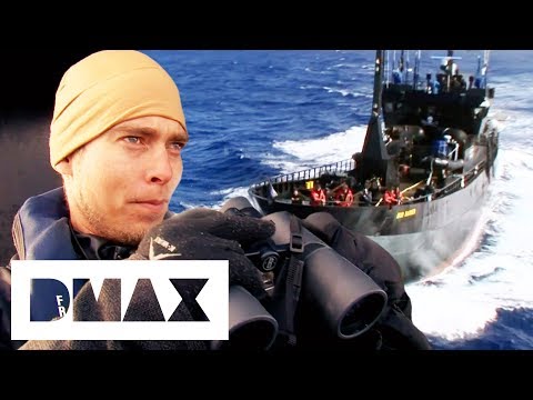 The Sea Shepherds Go Head To Head With Whaler Factory Ship