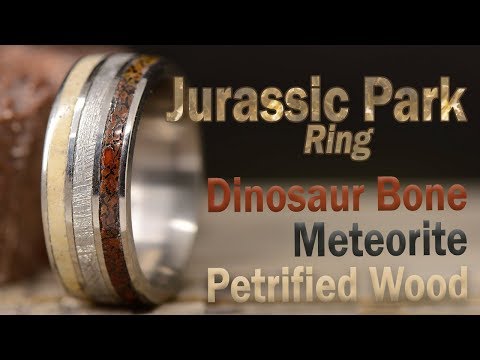 DIY Jurassic Park Ring, Made From Dinosaur Bone, Meteorite, Petrified Wood, and Titanium