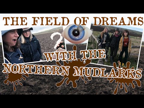 Field Walking The Field Of Dreams With The Northern Mudlarks