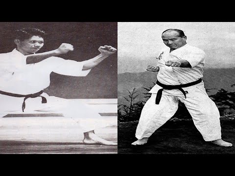 Shotokan & Kyokushin