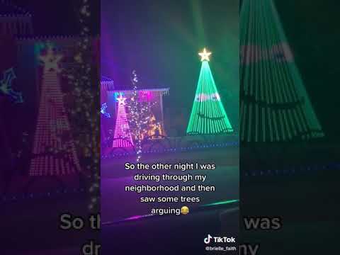 Christmas trees arguing
