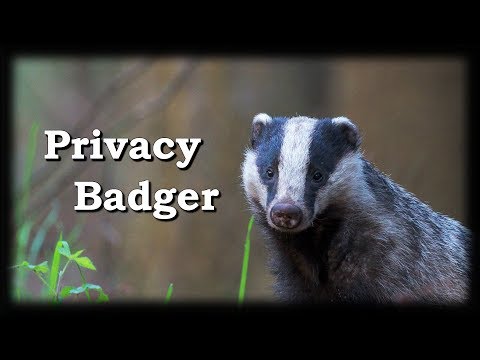 How to use Privacy Badger (2019)