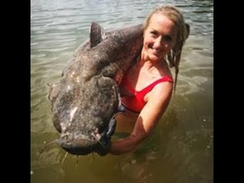 Hillbilly Toe Fishin': Noodling a Giant Catfish in Tennessee