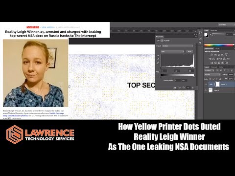 How Yellow Printer Dots Outed Reality Leigh Winner As The One Leaking NSA Documents