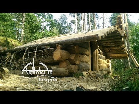 Off Grid Log Cabin Built by One Man: Moving 1000 lbs Logs Solo
