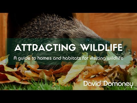 Attracting beneficial wildlife by adding homes and habitats to your garden