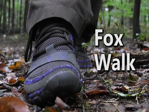Fox Walk - How To Walk Silently Through The Woods