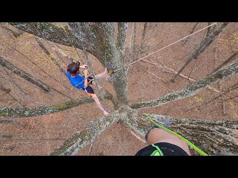 Tree Camping in the Rain