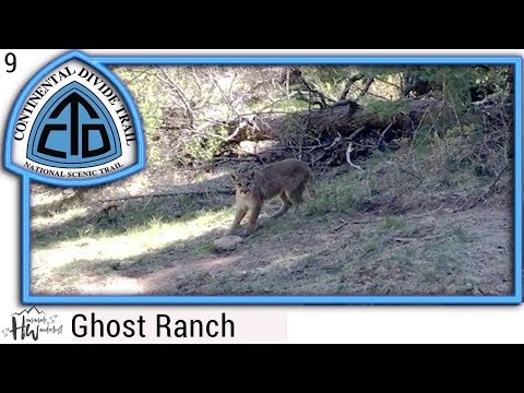 Episode 9: MOUNTAIN LION