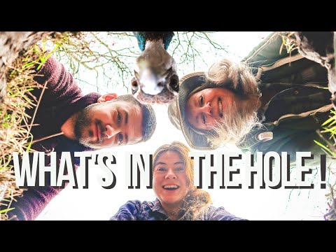 What is in the hole?! Metal detecting our Scottish farmhouse plus the history of our finds.