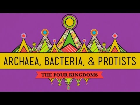 Old & Odd, Archaea, Bacteria & Protists - CrashCourse Biology #35