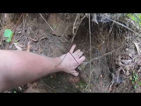 Tons of Killer Antique Bottles Found In Creek!!